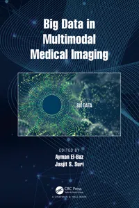 Big Data in Multimodal Medical Imaging_cover