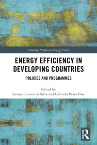 Energy Efficiency in Developing Countries_cover