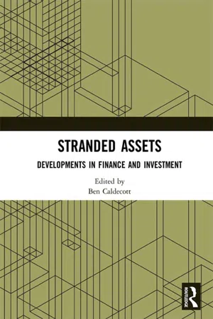 Stranded Assets