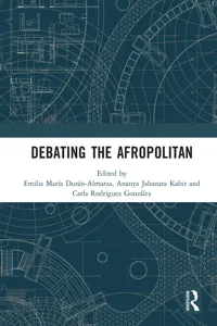 Debating the Afropolitan_cover