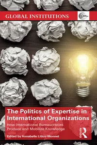 The Politics of Expertise in International Organizations_cover