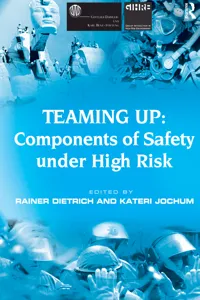 Teaming Up: Components of Safety Under High Risk_cover