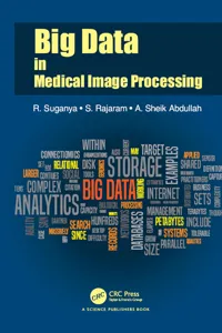 Big Data in Medical Image Processing_cover