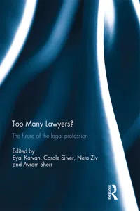 Too Many Lawyers?_cover