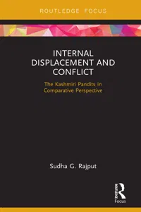 Internal Displacement and Conflict_cover