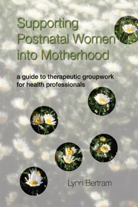 Supporting Postnatal Women into Motherhood_cover