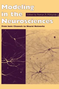 Modeling in the Neurosciences_cover