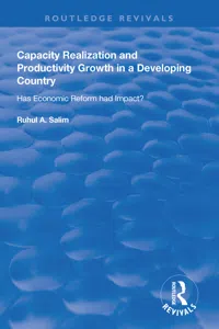 Capacity Realization and Productivity Growth in a Developing Country_cover