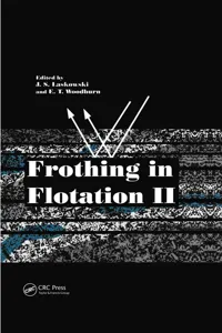 Frothing in Flotation II_cover