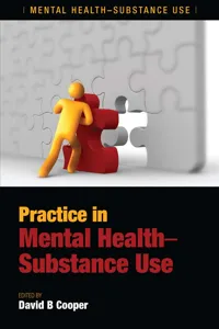 Practice in Mental Health-Substance Use_cover