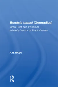 Bemisia Tabaci_cover