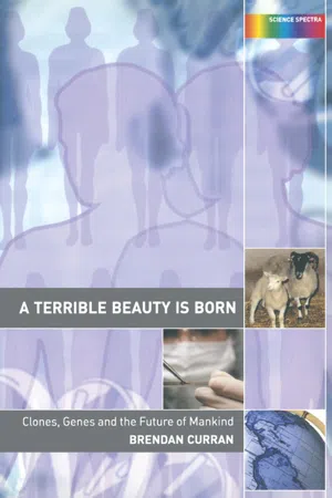 A Terrible Beauty is Born