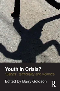 Youth in Crisis?_cover