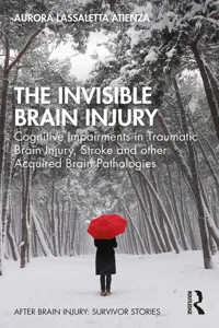 The Invisible Brain Injury_cover