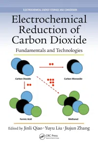 Electrochemical Reduction of Carbon Dioxide_cover