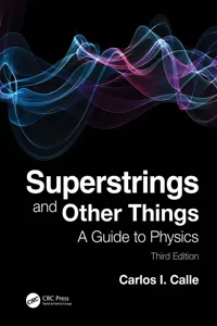 Superstrings and Other Things_cover