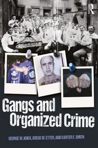 Gangs and Organized Crime_cover
