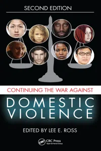 Continuing the War Against Domestic Violence_cover