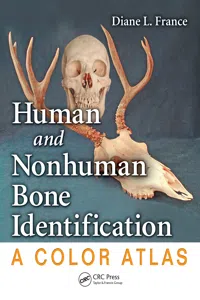 Human and Nonhuman Bone Identification_cover