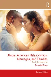 African American Relationships, Marriages, and Families_cover