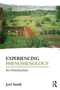 Experiencing Phenomenology_cover