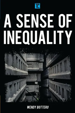 A Sense of Inequality