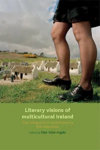 Literary visions of multicultural Ireland_cover