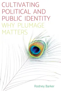 Cultivating political and public identity_cover