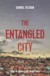 The entangled city_cover