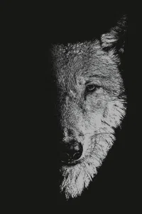 In the company of wolves_cover