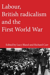 Labour, British radicalism and the First World War_cover