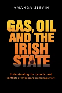 Gas, oil and the Irish state_cover