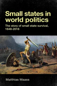 Small states in world politics_cover
