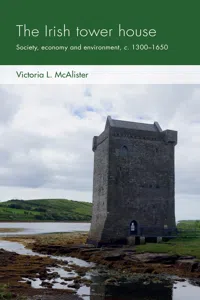 The Irish tower house_cover