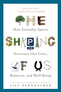 The Shaping of Us_cover