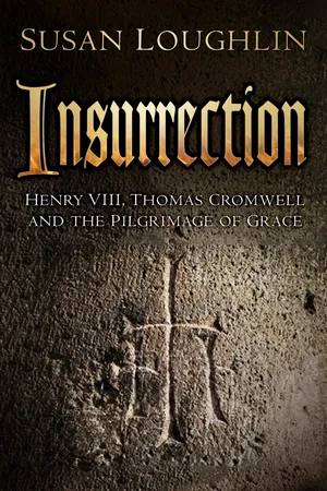 Book cover image for: Insurrection
