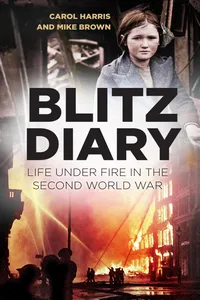 Blitz Diary_cover