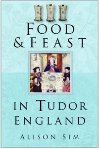 Food and Feast in Tudor England_cover