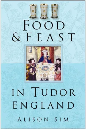 Food and Feast in Tudor England