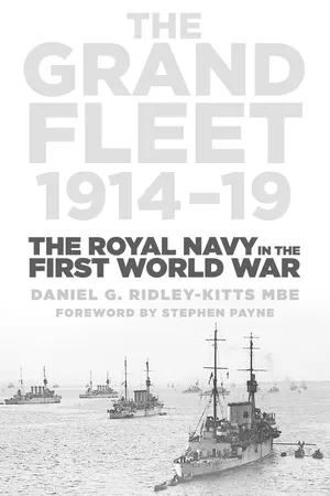 Book cover image for: The Grand Fleet 1914-19