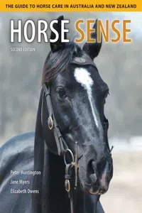 Horse Sense_cover