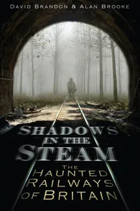 Shadows in the Steam_cover