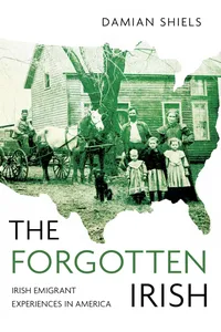 The Forgotten Irish_cover