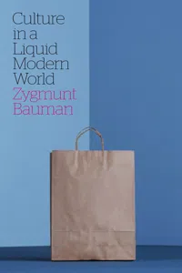 Culture in a Liquid Modern World_cover