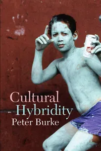 Cultural Hybridity_cover