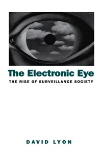 The Electronic Eye_cover