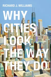 Why Cities Look the Way They Do_cover
