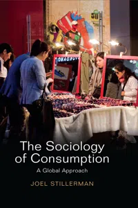 The Sociology of Consumption_cover