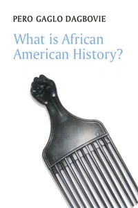 What is African American History?_cover