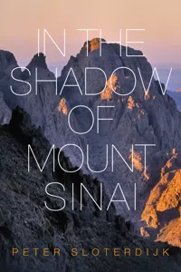 In The Shadow of Mount Sinai_cover